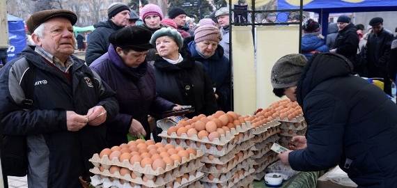 Скачок цен на куриные яйца